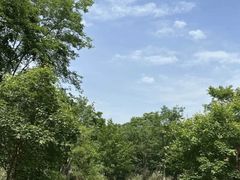 -白鹭湾湿地公园