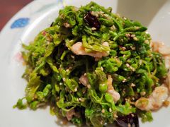-清真·老兰家(兴善寺西街总店)