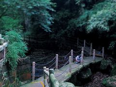 -碧峰峡风景区