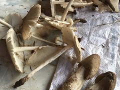 -兴福老面馆(寺路街店)