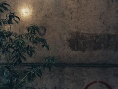 -不正咖啡(万达尊店)