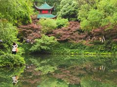 -岳麓山风景名胜区