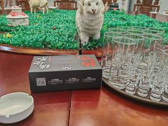 -杨正宗烤全羊(北二环店)
