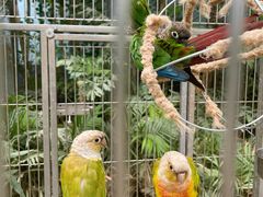 -南宫五洲植物乐园