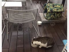 -UNI UNI(环亚凯瑟琳店)