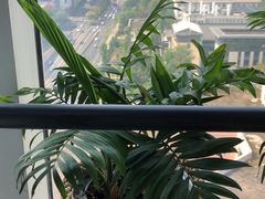 -帝京日语(春熙路旗舰校区)