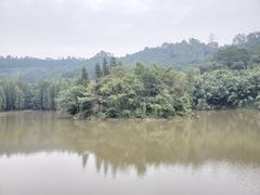 -滴水岩森林公园