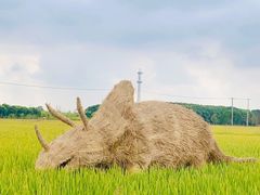 -嘉北郊野公园