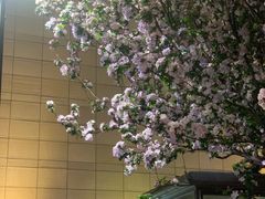 -天津水游城丽筠酒店