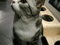 -咖法森林·咖啡  酒吧(天河店)