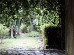 -中国科学院西双版纳热带植物园