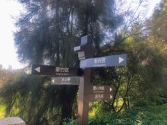 -安平桥