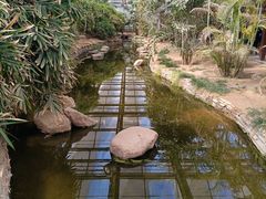 -九天休闲谷