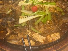 -老板恋上鱼(恒隆广场店)