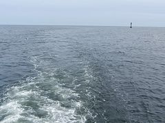 -秦皇岛公主号游船