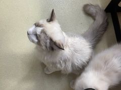-中田健身工作室(中针商务店)