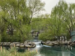 -百脉泉景区