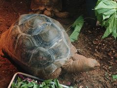 -昆明动物园