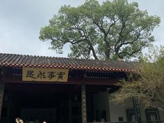 -湖南大学-中国书院博物馆