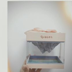 -钻石小鸟钻戒婚戒定制(石路店)