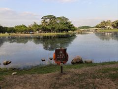 -海上田园