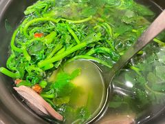 原汁原味西洋菜-煲煲好(朝阳门店)