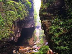 -鹿院坪生态旅游景区