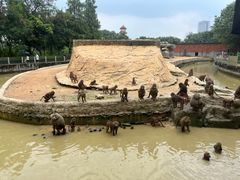 -东莞香市动物园