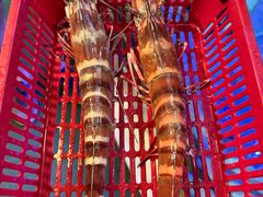 -大茄来海鲜餐厅(亚洲城分行)