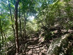 -雾灵西峰