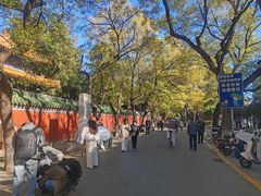 -北京国子监胡同
