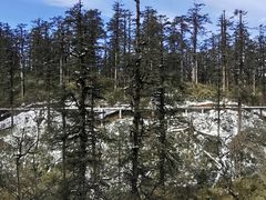 -瓦屋山景区