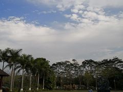 -候鸟水榕庄度假酒店