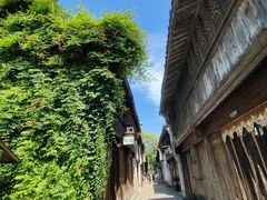 -乌镇景区