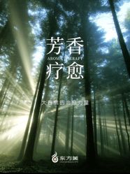 -东方美美容SPA会所