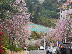 -小南山公园