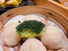 -南海渔村(珠江新城店)