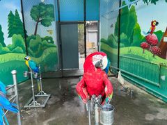 -西安秦岭野生动物园