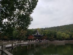 -旺山景区