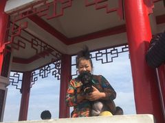 -狼牙山风景区