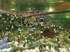 -顺德了能馆(虎门店)