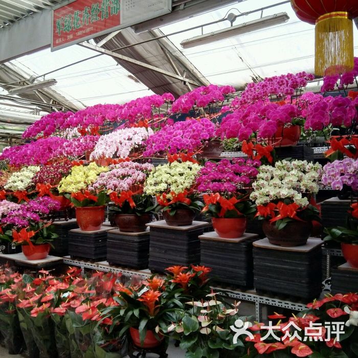 花乡花卉创意园图片-北京花店-大众点评网