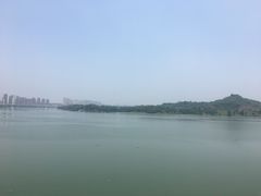 -五七油焖大虾(合川总店)