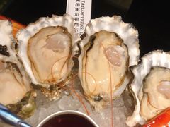 美国谢尔顿生蚝-普朗姆生蚝吧(原建国路店)