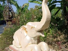 -西双版纳傣族园