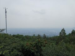 -阳台山自然风景区