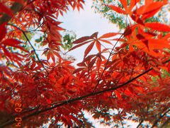 -艾溪湖湿地公园