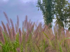 -汉长安城未央宫国家考古遗址公园