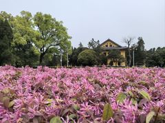 -桂林独秀峰王城景区