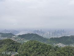 -大金鹰园